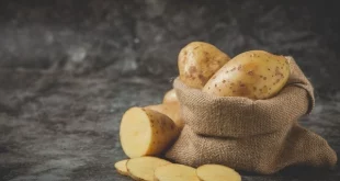 kentang dalam karung