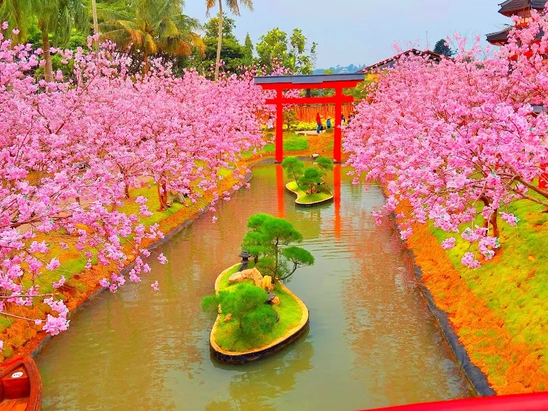 8 Rekomendasi Wisata Puncak Bogor yang Terbaru,